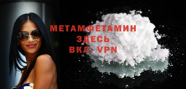 ПСИЛОЦИБИНОВЫЕ ГРИБЫ Осинники