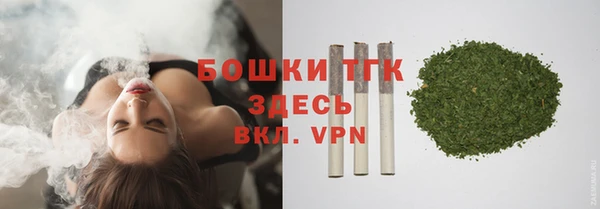 ПСИЛОЦИБИНОВЫЕ ГРИБЫ Осинники