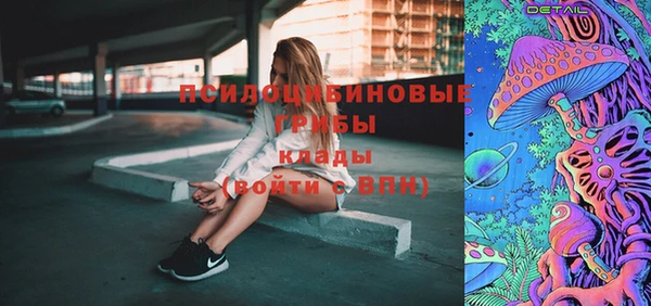 ПСИЛОЦИБИНОВЫЕ ГРИБЫ Осинники