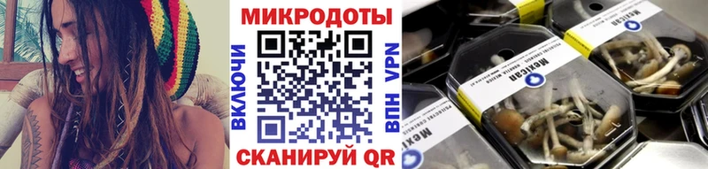 Псилоцибиновые грибы Magic Shrooms  как найти   Борзя 